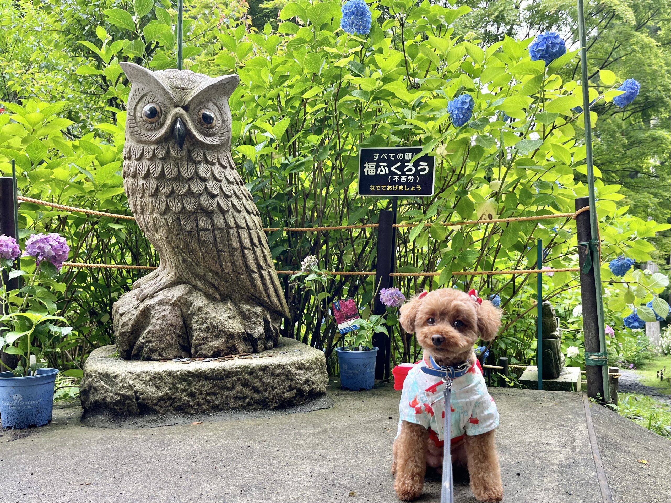 栃木県】那珂川町『 鷲子山上神社(とりのこさんしょうじんじゃ